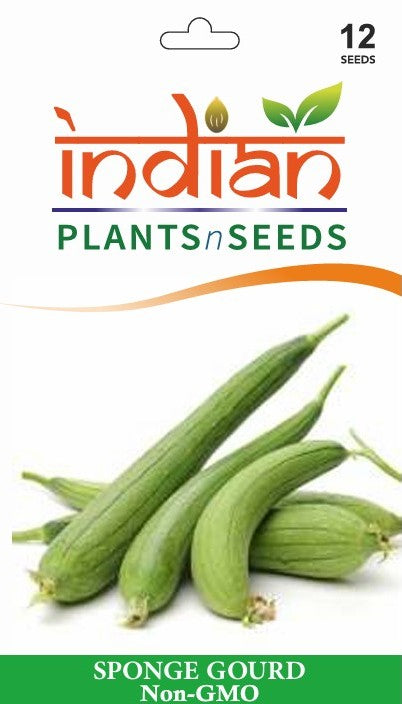 sponge plant seeds IPS048