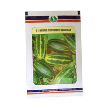 Load image into Gallery viewer, IPS084- F1 Hybrid Cucumber Sambhar Seeds-10+ Seeds
