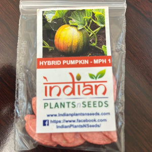 IPS030 - Indian Pumpkin-Hybrid-MPH 1 - 10 seeds