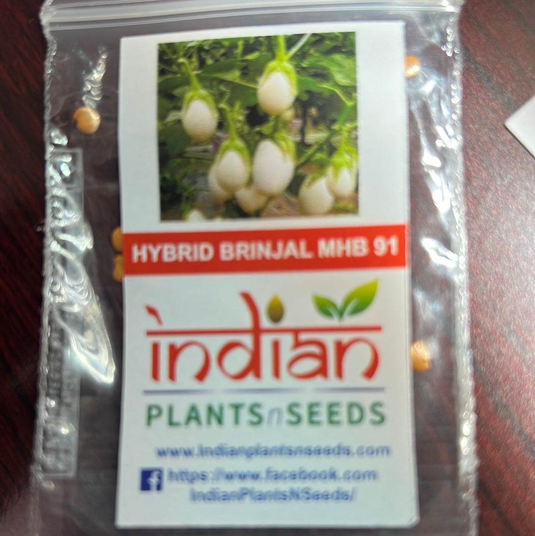 IPS076 - White Small round Brinjal / Vankay Seeds -BRINJAL HYBRID  MAHY NO.91 (MHB-91)- 50+ seeds
