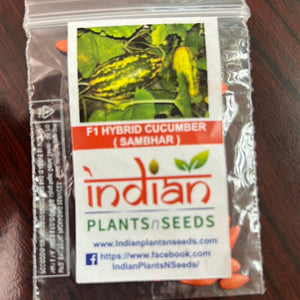 IPS084- F1 Hybrid Cucumber Sambhar Seeds-10+ Seeds