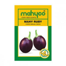 Load image into Gallery viewer, IPS083 - BRINJAL HYBRID  MAHY RUBY- 20+ seeds
