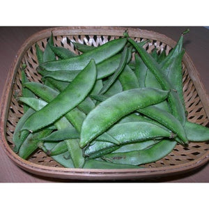 IPS082 - Thanjavur (Avarakkai) / Dolichos Beans / DHONI - 10 Seeds