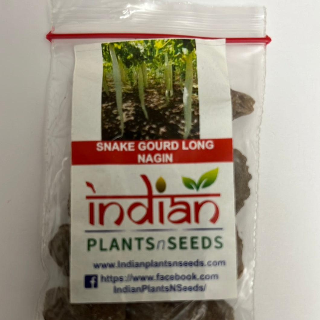 IPS047 - Snake Gourd Seeds - 10 seeds