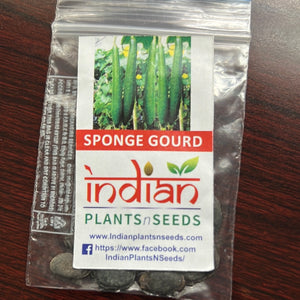 IPS048 - Sponge Gourd Seeds
