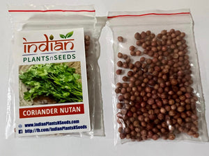 IPS070- Coriander Nutan - Hybrid Seeds