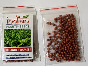 IPS071 - Coriander Ramses - Hybrid Seeds