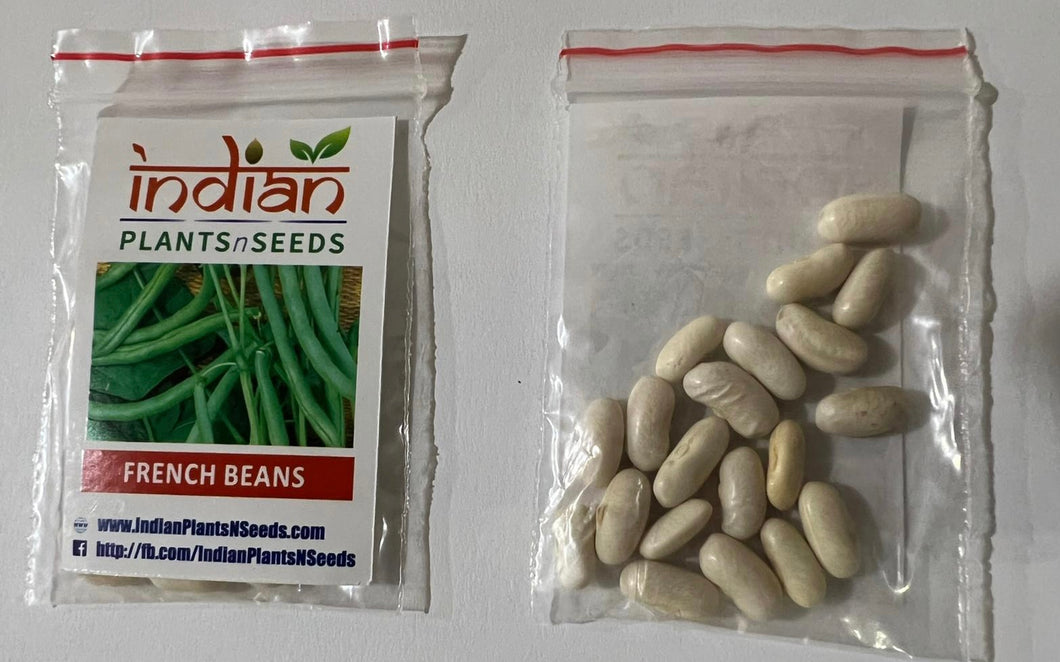 IPS073 - French Beans - 10+ seeds