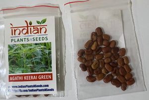 IPS074 - Agathi Keerai - 50 +seeds