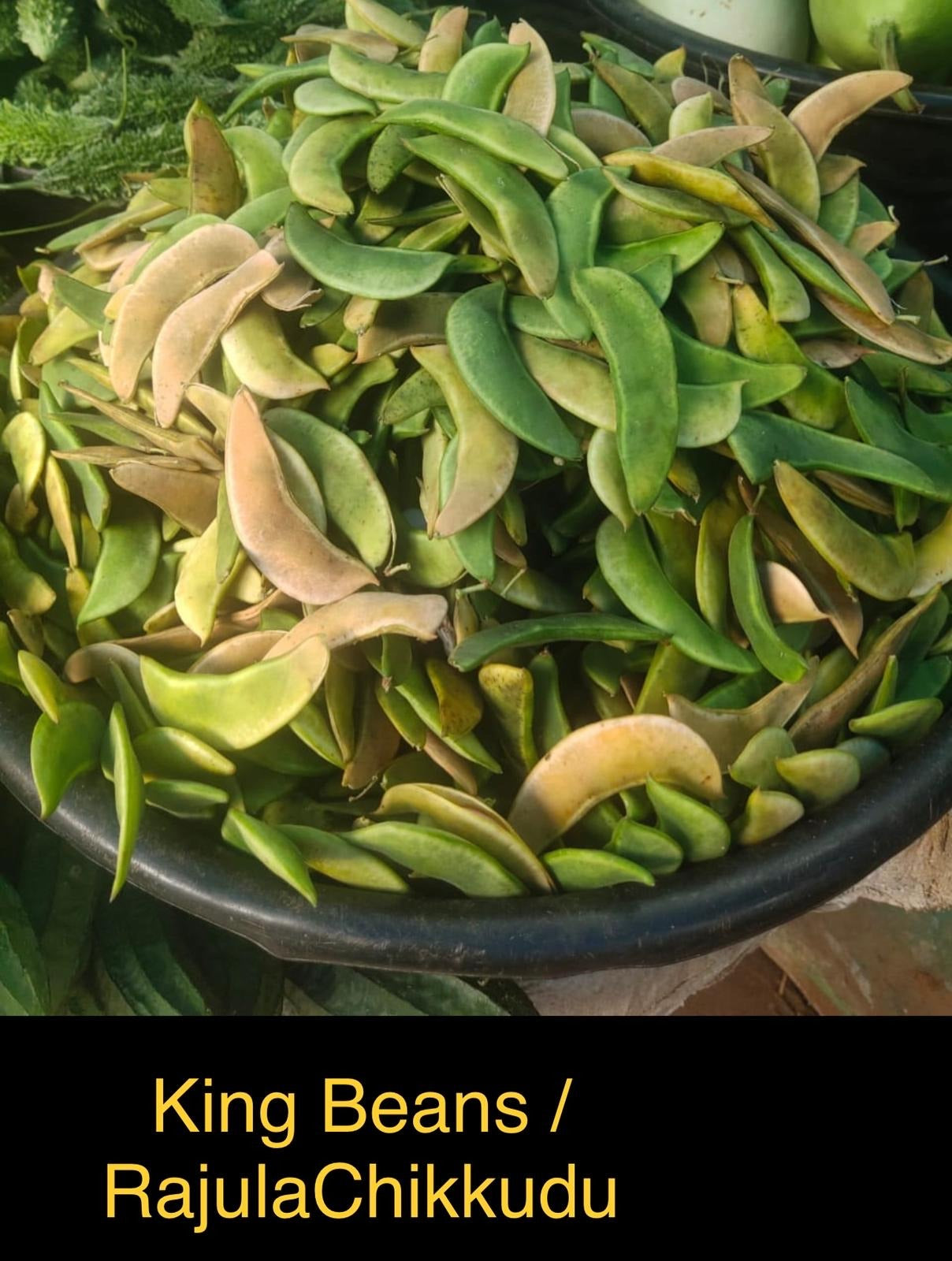 chikkudukaya plant from seed IPS041 - Rajula Chikkudu / King Beans