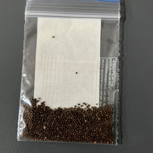 Load image into Gallery viewer, IPS079- Rama Tulasi- 200 seeds
