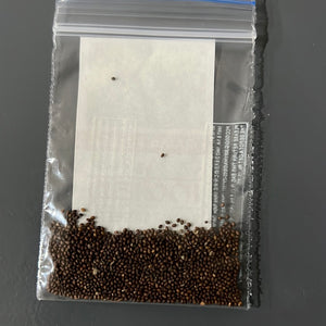 IPS079- Rama Tulasi- 200 seeds